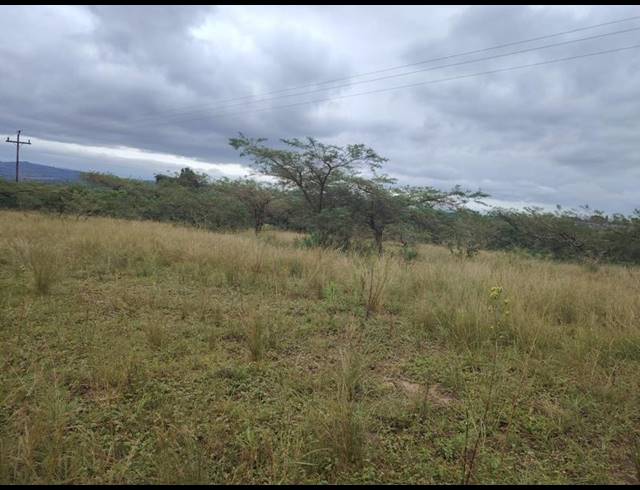 LAND FOR SALE IN CLIFFDALE